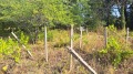 Продава ВИЛА, град Враца, Студентски град • 28000 лв. • 85058186 — Holmes.bg