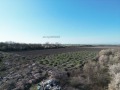 Продава ПАРЦЕЛ, град Пловдив, Индустриална зона - Север • 591500 € • 97210212 — Holmes.bg