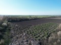 Продава ПАРЦЕЛ, град Пловдив, Индустриална зона - Север • 591500 € • 97210212 — Holmes.bg
