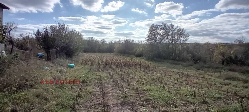 Продава  Къща област Добрич , с. Ломница , 85 кв.м | 99378240 - изображение [11]