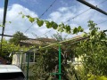 Продава КЪЩА, област Добрич, с. Изворово • 35000 € • 31905288 — Holmes.bg
