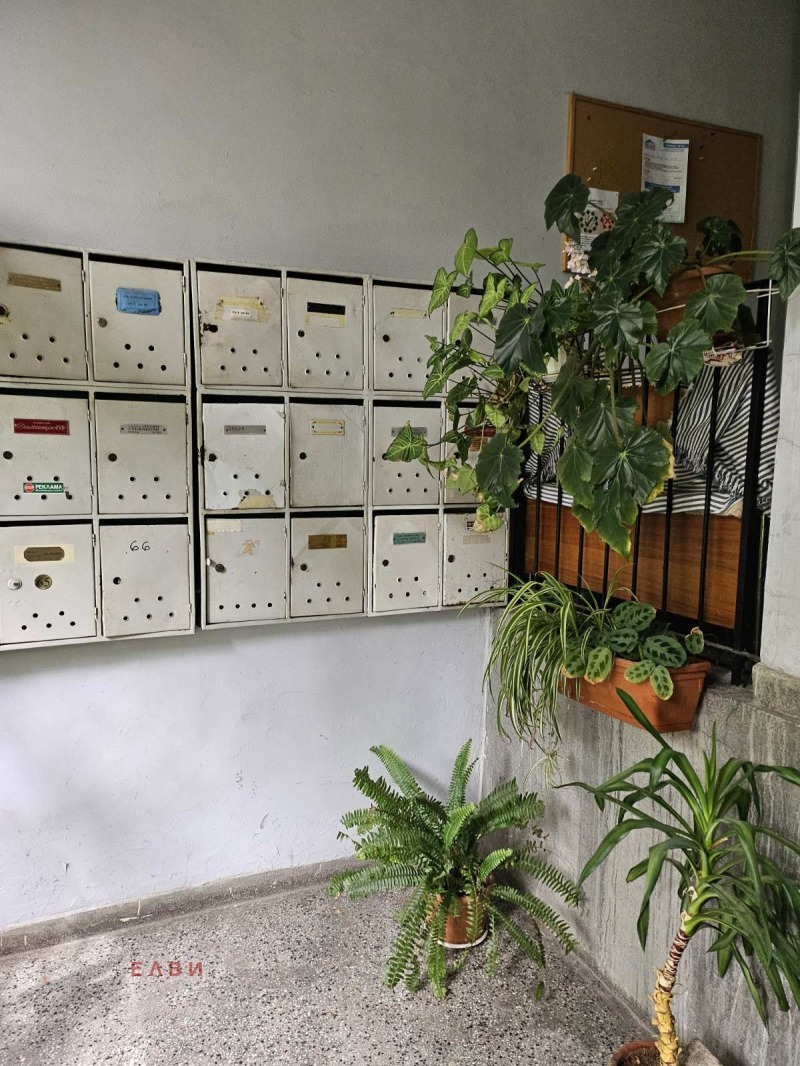 Продается  1 спальня София , Дианабад , 65 кв.м | 52977928 - изображение [3]