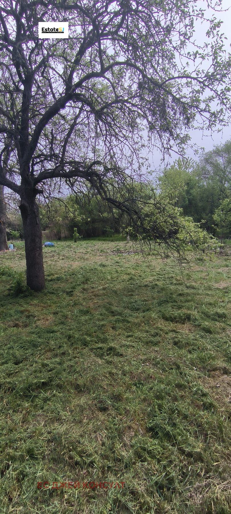 Продава КЪЩА | Imot.bg — изображение 7