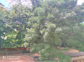 ������� 2-����� | Imot.bg � ����� ������ 16