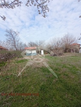 ����� ������� ������,�. �������, ������ �������