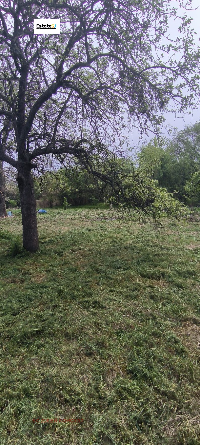 Til salg  Hus region Pernik , Rezhantsi , 126 kvm | 69302284 - billede [7]