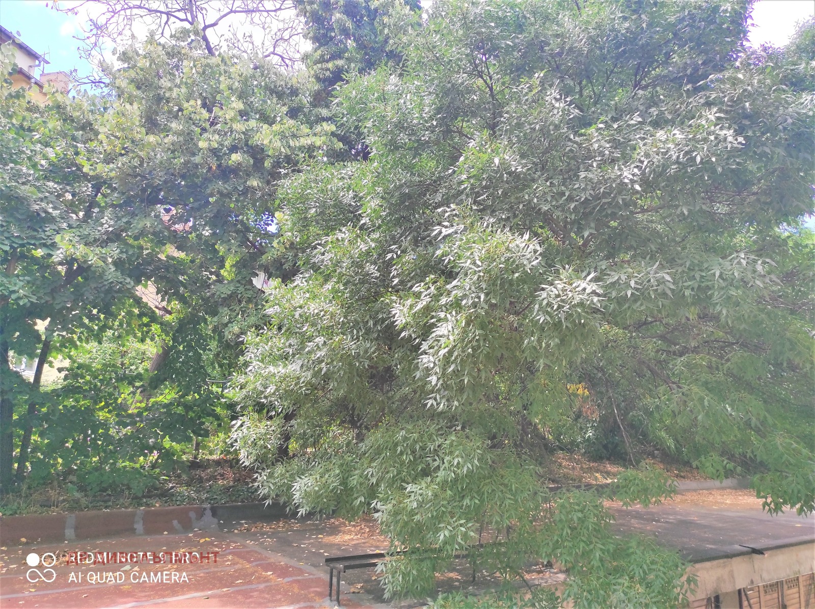 Продава 2-СТАЕН, гр. София, Лозенец, снимка 16 - Апартаменти - 54361538