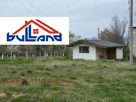 ������ ������� ����