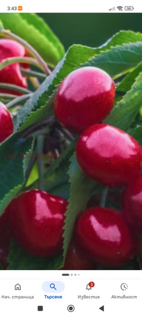 ����� ������� ���������� ����,�. �������, ������ ���������