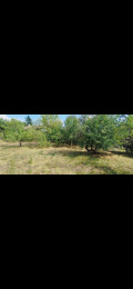 Продава ПАРЦЕЛ, с. Червена могила, област Перник, снимка 2