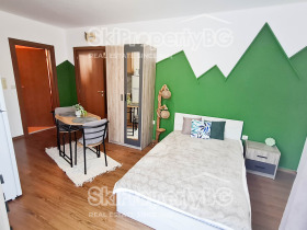 Studio Bansko, region Blagoewgrad 1