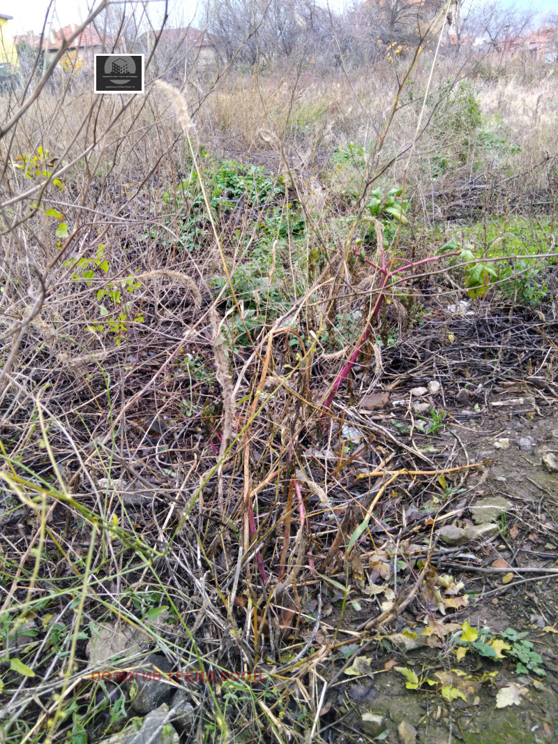 Продава КЪЩА, гр. Дупница, област Кюстендил, снимка 5 - Къщи - 52641801