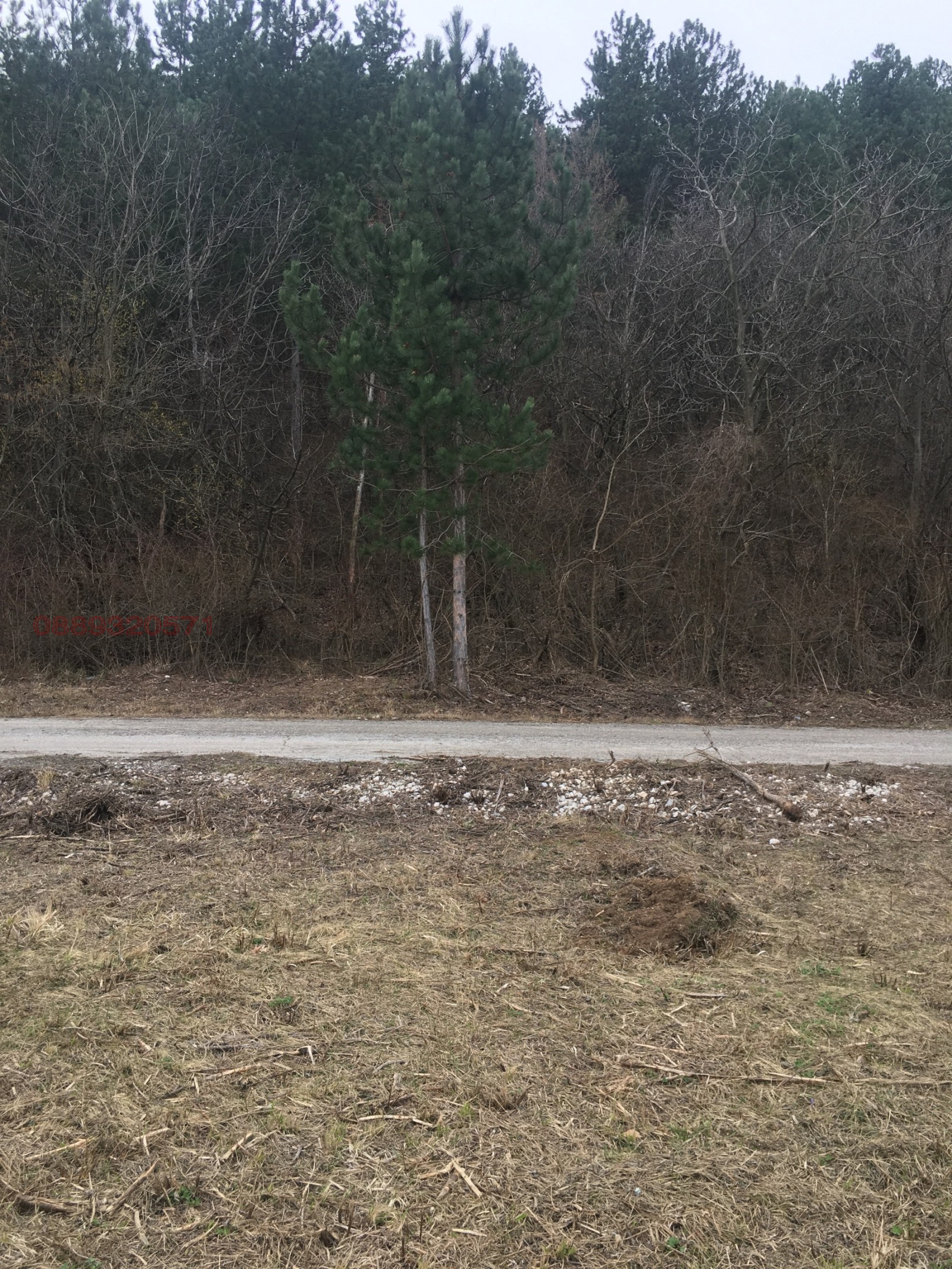 Продава ПАРЦЕЛ, с. Руен, област Пловдив, снимка 2 - Парцели - 56075105