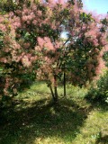 Продава ВИЛА, с. Гинци, област София област, снимка 13