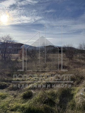 ������ ������� ������