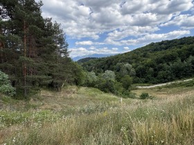 Продава Земеделска земя, гр. Берковица