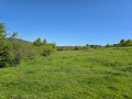 Продава ПАРЦЕЛ, с. Големо Бучино, област Перник, снимка 3