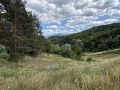 Продава ЗЕМЕДЕЛСКА ЗЕМЯ, гр. Берковица, област Монтана, снимка 1