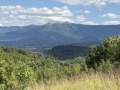 Продава ЗЕМЕДЕЛСКА ЗЕМЯ, гр. Берковица, област Монтана, снимка 2