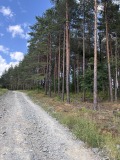 Продава ЗЕМЕДЕЛСКА ЗЕМЯ, гр. Берковица, област Монтана, снимка 8
