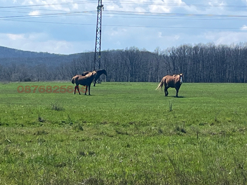 Продава ПАРЦЕЛ в област Бургас, гр. Ахтопол - 2320 кв.м / При запитване