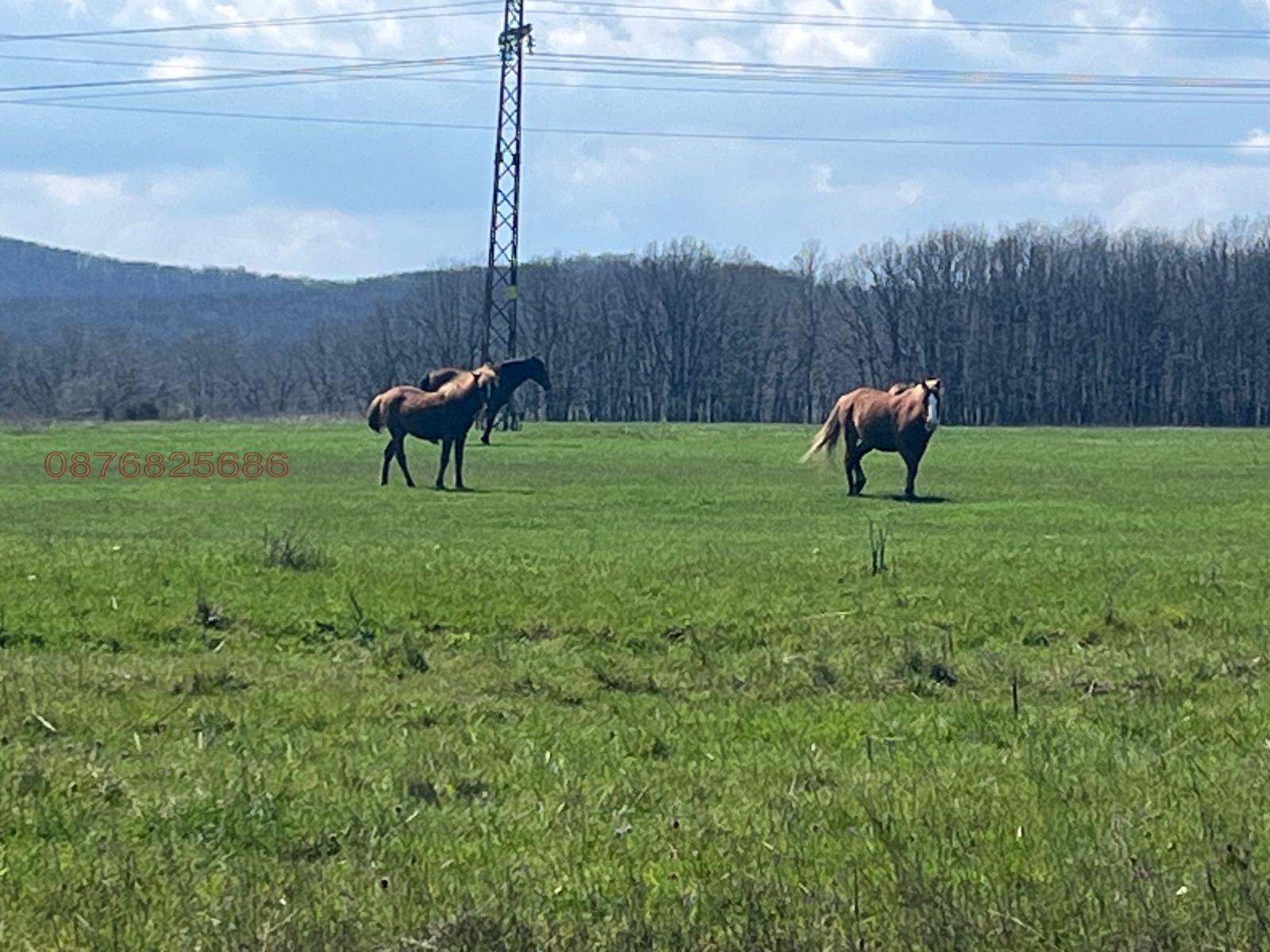 ������� ������ | Imot.bg � ����������� 1