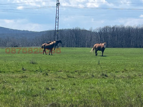 ПАРЦЕЛ, 2 320 m2