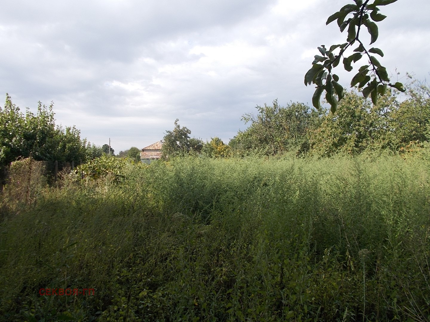 Продава КЪЩА, с. Малина, област Добрич, снимка 11 - Къщи - 56347405