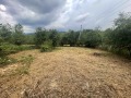 Продава ПАРЦЕЛ, с. Балабанско, област Ловеч, снимка 1