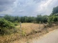 Продава ПАРЦЕЛ, с. Балабанско, област Ловеч, снимка 4