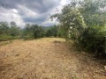 Продава ПАРЦЕЛ, с. Балабанско, област Ловеч, снимка 2