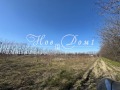Продава ПАРЦЕЛ, гр. Пловдив, Беломорски, снимка 2