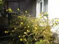 Продава  Къща област Добрич , с. Малина , 85 кв.м | 82270588 - изображение [8]