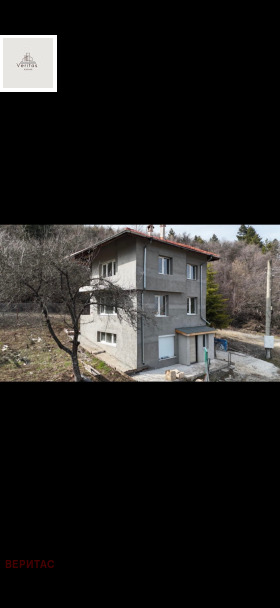 ������ ������� ����