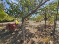 Продава КЪЩА, област Варна, с. Климентово • 105000 € • 78906421 — Holmes.bg