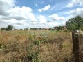 Продава ПАРЦЕЛ, област Добрич, с. Царичино • 24900 € • 25276049 — Holmes.bg