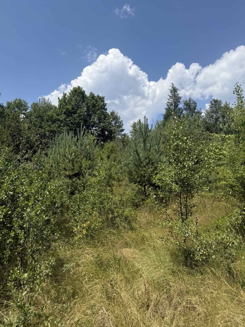 Продава ПАРЦЕЛ в област София, гр. Костинброд - 596 кв.м / 15 338.76 € » 30 000 лв., НЕБОСКЛОН ЕООД