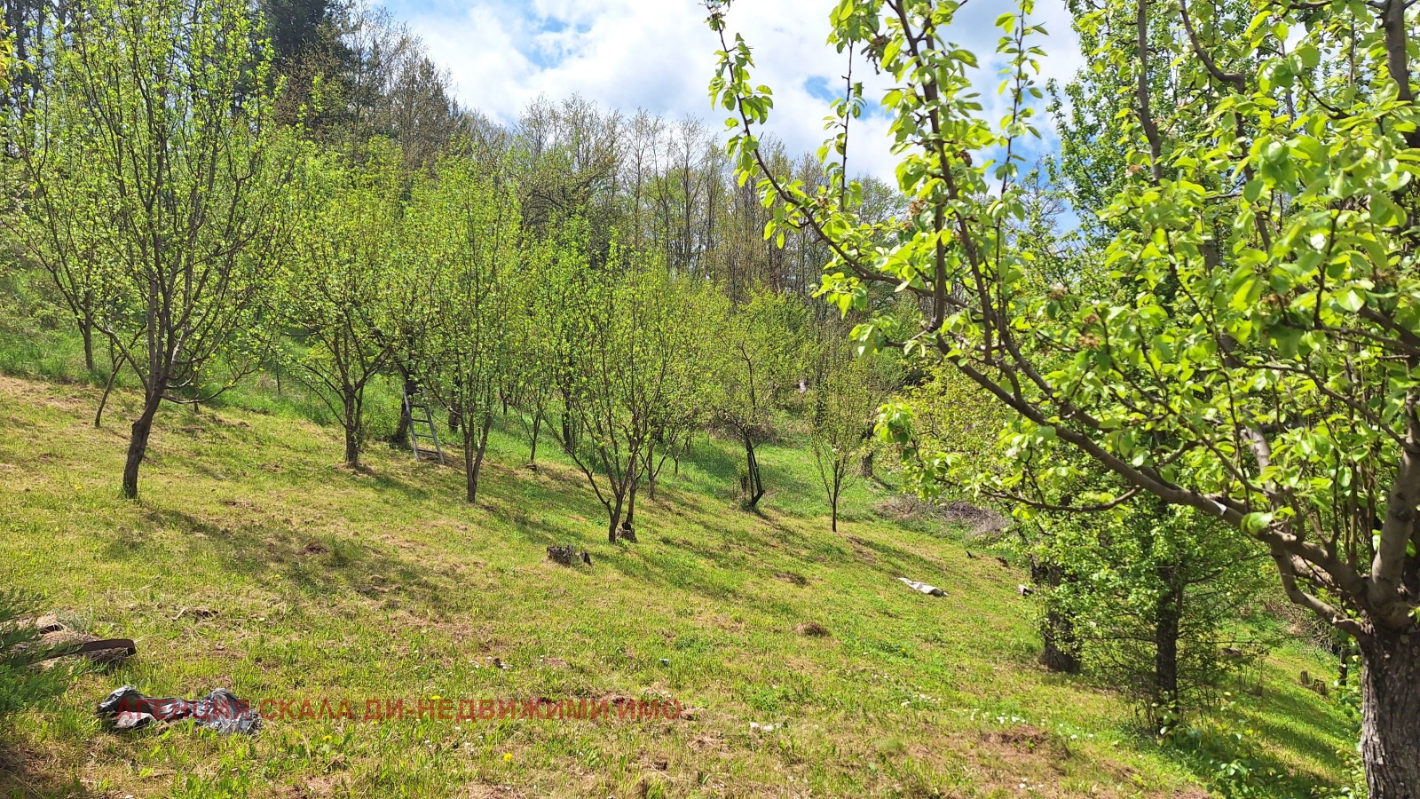 ������� ���� | Imot.bg � ����������� 10