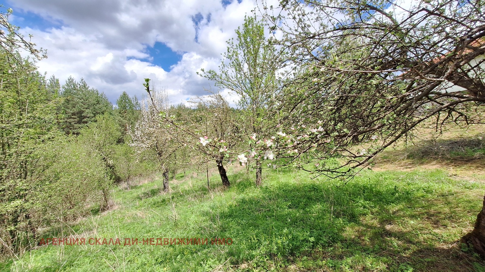 ������� ���� | Imot.bg � ����������� 11