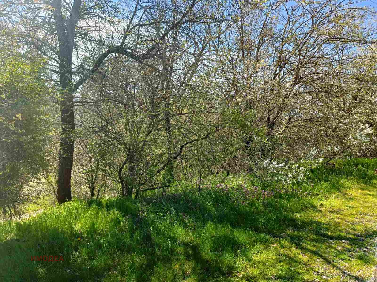 Продава ПАРЦЕЛ, с. Саласука, област Габрово, снимка 2 - Парцели - 54135559