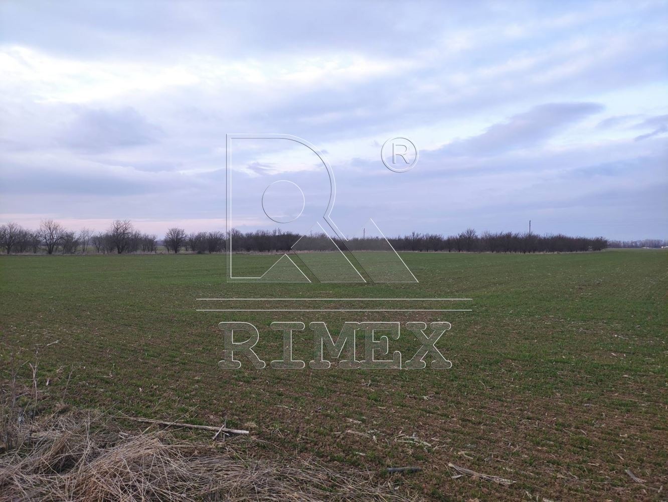 Продава ПАРЦЕЛ, гр. Пловдив, Западен, снимка 7 - Парцели - 54923385