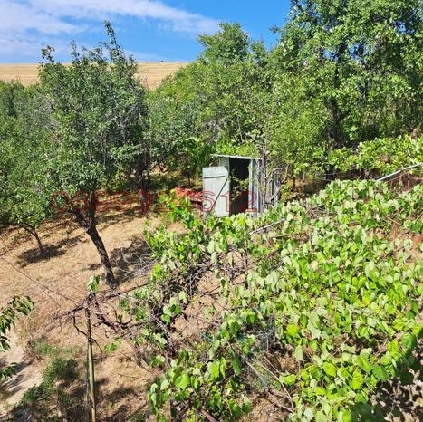 ������� ���� | Imot.bg � ����������� 7