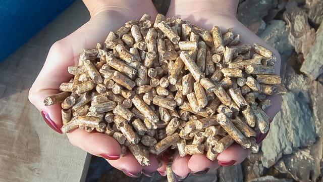 Продава ПРОМ. ПОМЕЩЕНИЕ | Imot.bg — изображение 6