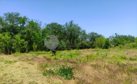 House Balchik, region Dobrich 4