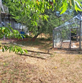 ������� ���� | Imot.bg � ����� ������ 8