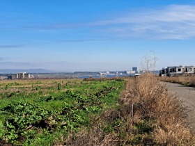 ������ ������� ������