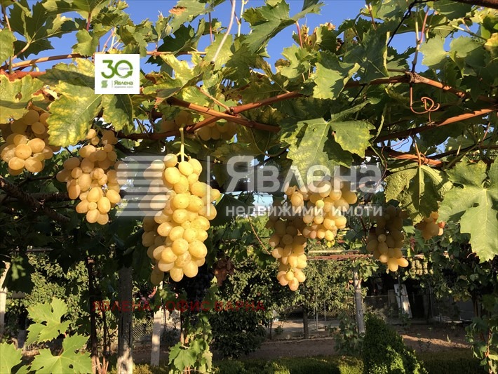 Te koop  Huis regio Dobritsj , Vidno , 150 m² | 91537790 - afbeelding [12]