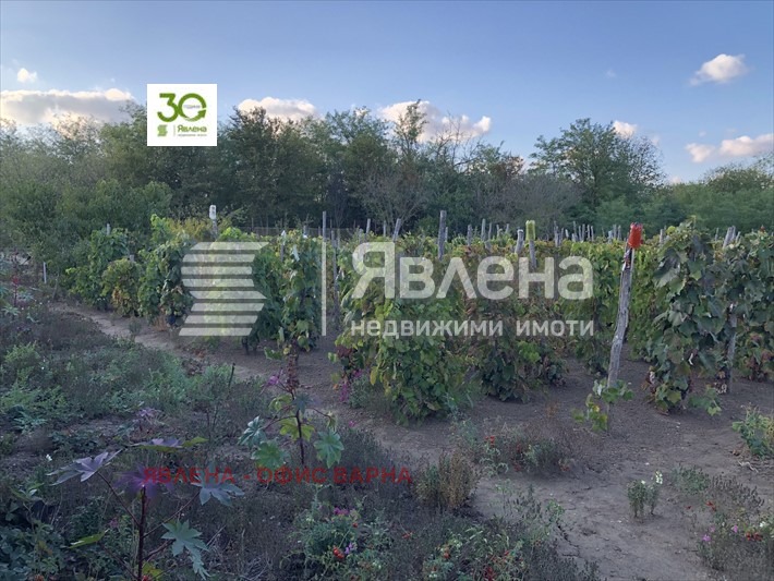 Te koop  Huis regio Dobritsj , Vidno , 150 m² | 91537790 - afbeelding [2]