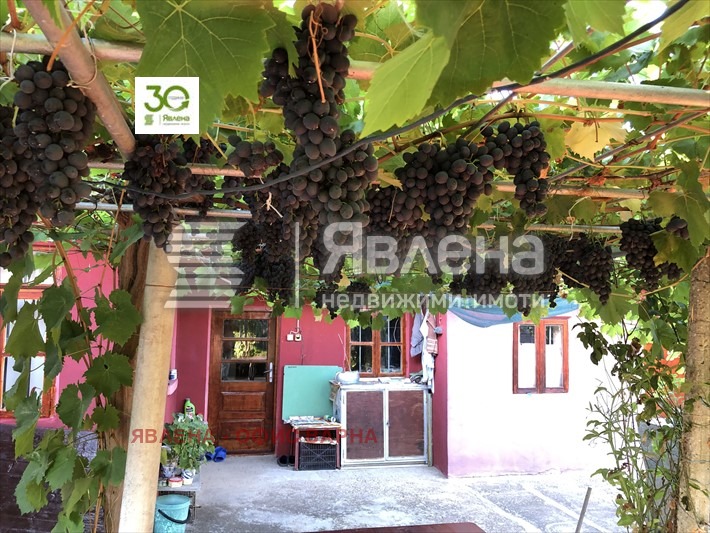 Te koop  Huis regio Dobritsj , Vidno , 150 m² | 91537790 - afbeelding [6]