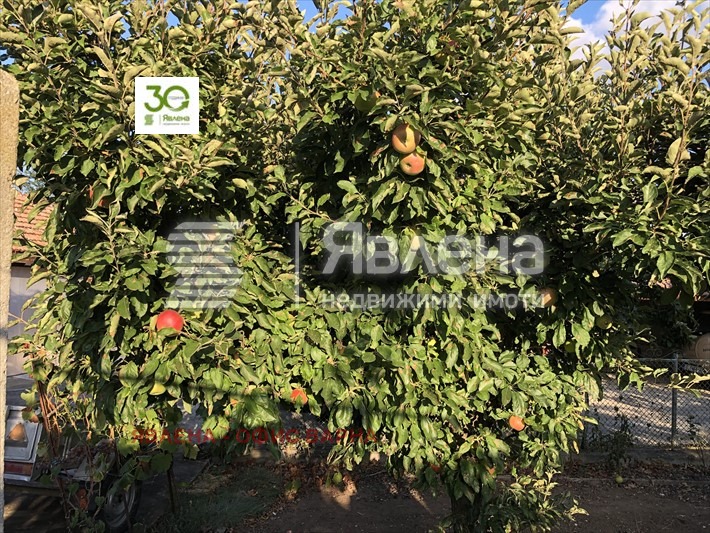 Te koop  Huis regio Dobritsj , Vidno , 150 m² | 91537790 - afbeelding [7]